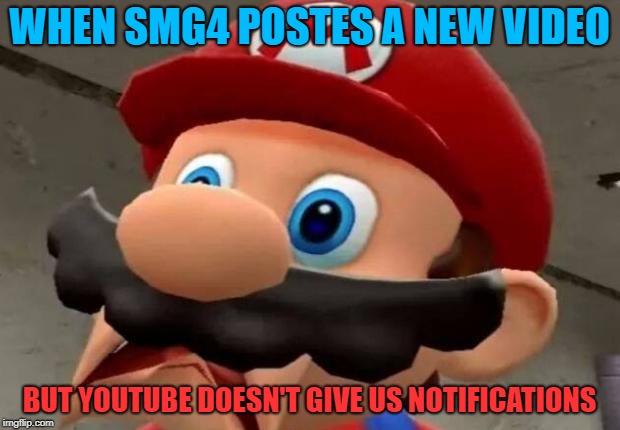 SMG4 posts | WHEN SMG4 POSTES A NEW VIDEO; BUT YOUTUBE DOESN'T GIVE US NOTIFICATIONS | image tagged in mario wtf | made w/ Imgflip meme maker