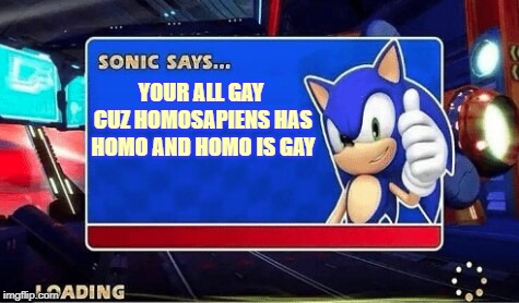 SONIC sez | YOUR ALL GAY CUZ HOMOSAPIENS HAS HOMO AND HOMO IS GAY | image tagged in sonic says | made w/ Imgflip meme maker