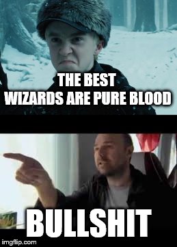 Draco Malfoy getting cut-off by Karl Pilkington A.K.A Bullshit Man | THE BEST WIZARDS ARE PURE BLOOD; BULLSHIT | image tagged in draco malfoy,bullshit | made w/ Imgflip meme maker