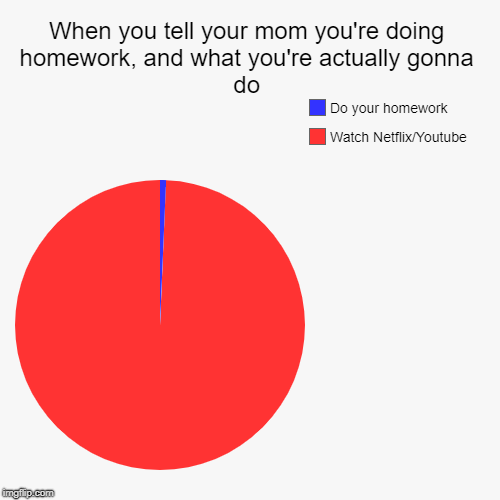 When you tell your mom you're doing homework, and what you're actually gonna do | Watch Netflix/Youtube, Do your homework | image tagged in funny,pie charts | made w/ Imgflip chart maker
