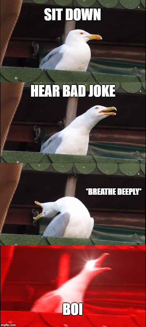 Seagull BOI Meme | SIT DOWN; HEAR BAD JOKE; *BREATHE DEEPLY*; BOI | image tagged in memes,inhaling seagull,boi,bad joke | made w/ Imgflip meme maker