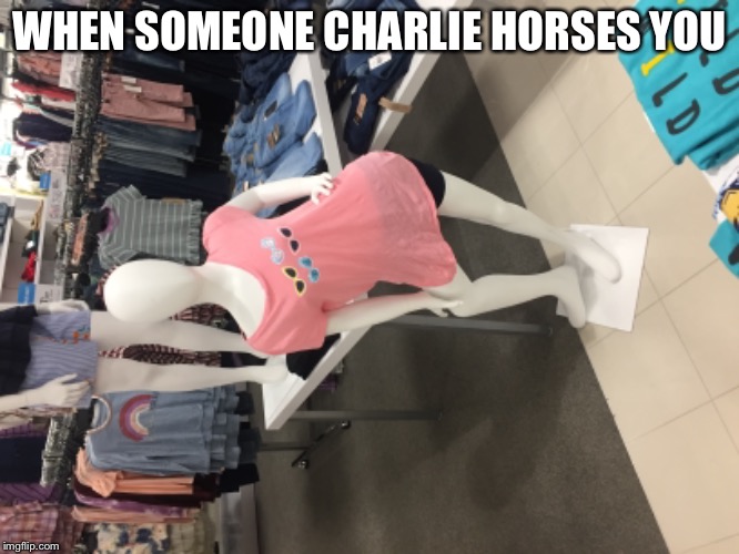 I took this picture at Belk for this meme | WHEN SOMEONE CHARLIE HORSES YOU | image tagged in statue | made w/ Imgflip meme maker