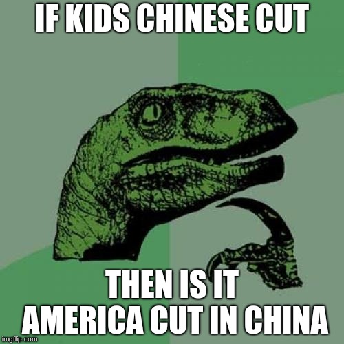 Philosoraptor Meme | IF KIDS CHINESE CUT; THEN IS IT AMERICA CUT IN CHINA | image tagged in memes,philosoraptor | made w/ Imgflip meme maker