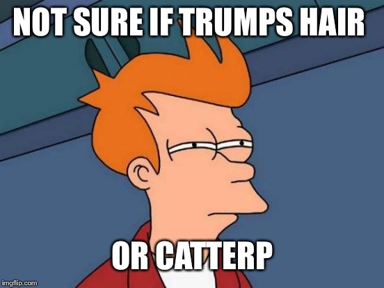 Futurama Fry Meme | NOT SURE IF TRUMPS HAIR OR CATERPILLAR | image tagged in memes,futurama fry | made w/ Imgflip meme maker