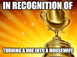 Award | IN RECOGNITION OF; TURNING A HOE INTO A HOUSEWIFE | image tagged in award | made w/ Imgflip meme maker