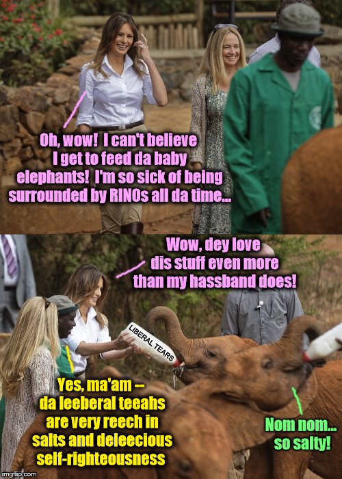 Melania in Kenya |  Oh, wow!  I can't believe I get to feed da baby elephants!  I'm so sick of being surrounded by RINOs all da time... Wow, dey love dis stuff even more than my hassband does! LIBERAL TEARS; Yes, ma'am -- da leeberal teeahs are very reech in salts and deleecious self-righteousness; Nom nom... so salty! | image tagged in melania trump,donald trump,phunny,memes,political memes | made w/ Imgflip meme maker