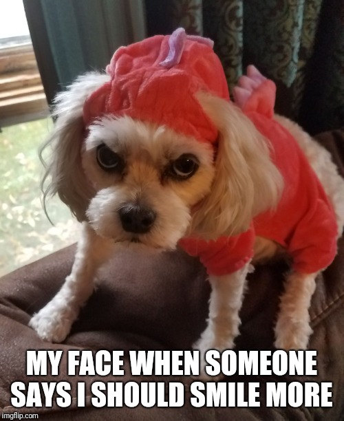 MY FACE WHEN SOMEONE SAYS I SHOULD SMILE MORE | image tagged in dino dog | made w/ Imgflip meme maker