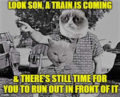 Look Son | LOOK SON, A TRAIN IS COMING; & THERE'S STILL TIME FOR YOU TO RUN OUT IN FRONT OF IT | image tagged in funny memes,cats,grumpy cat,look son | made w/ Imgflip meme maker