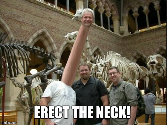 Long Neck | ERECT THE NECK! | image tagged in long neck | made w/ Imgflip meme maker