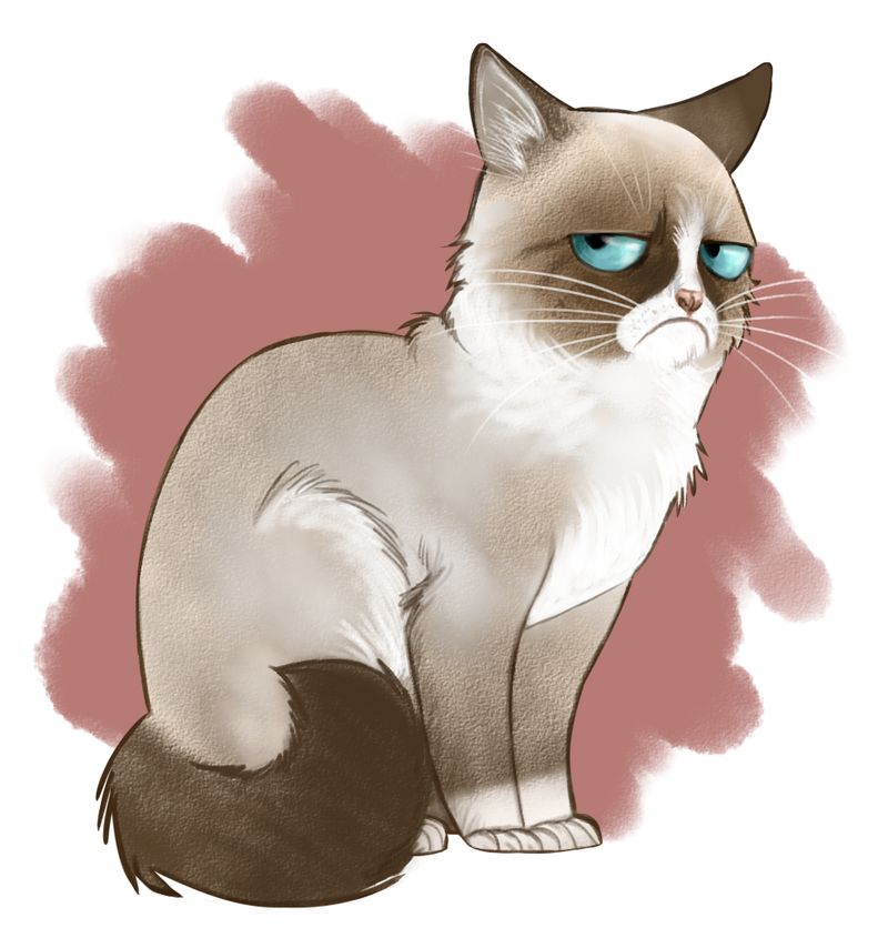 High Quality Grumpy Cat Drawing Blank Meme Template