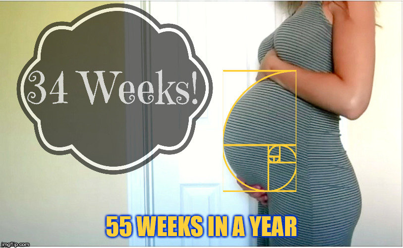 The Golden Ratio in pregnancy. | 55 WEEKS IN A YEAR | image tagged in the golden ratio,pregnant,life,baby,time,growth | made w/ Imgflip meme maker