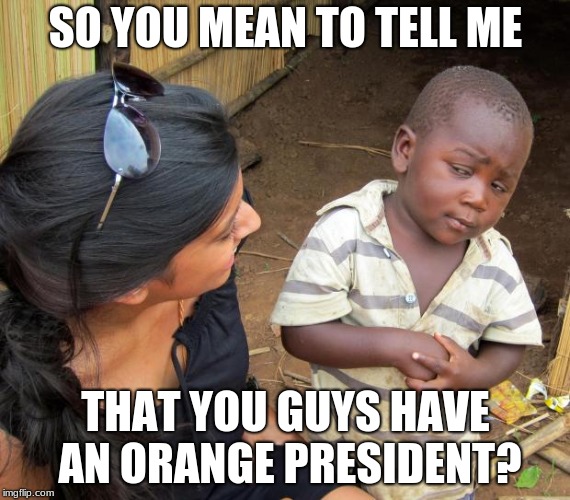 So you mean to tell me | SO YOU MEAN TO TELL ME; THAT YOU GUYS HAVE AN ORANGE PRESIDENT? | image tagged in so you mean to tell me | made w/ Imgflip meme maker