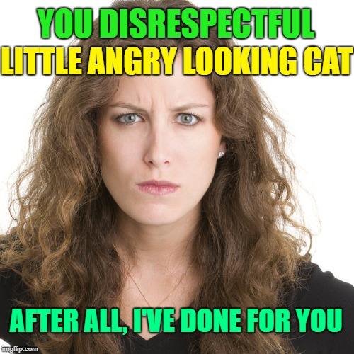 Angry woman | YOU DISRESPECTFUL LITTLE ANGRY LOOKING CAT AFTER ALL, I'VE DONE FOR YOU | image tagged in angry woman | made w/ Imgflip meme maker