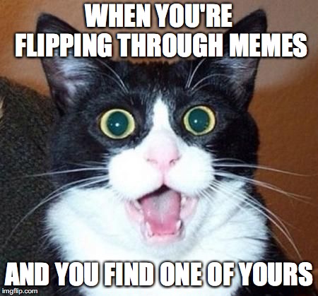 whoa cat | WHEN YOU'RE FLIPPING THROUGH MEMES; AND YOU FIND ONE OF YOURS | image tagged in whoa cat | made w/ Imgflip meme maker