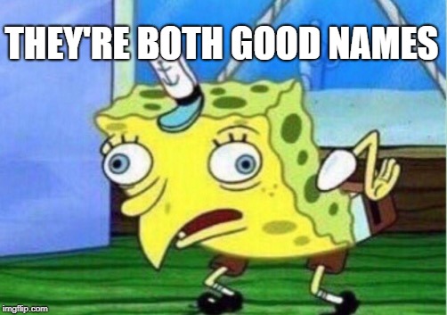 Mocking Spongebob Meme | THEY'RE BOTH GOOD NAMES | image tagged in memes,mocking spongebob | made w/ Imgflip meme maker