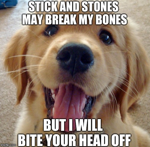 Cute dog | STICK AND STONES MAY BREAK MY BONES; BUT I WILL BITE YOUR HEAD OFF | image tagged in cute dog | made w/ Imgflip meme maker