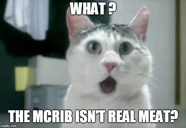 OMG Cat Meme | WHAT ? THE MCRIB ISN'T REAL MEAT? | image tagged in memes,omg cat | made w/ Imgflip meme maker