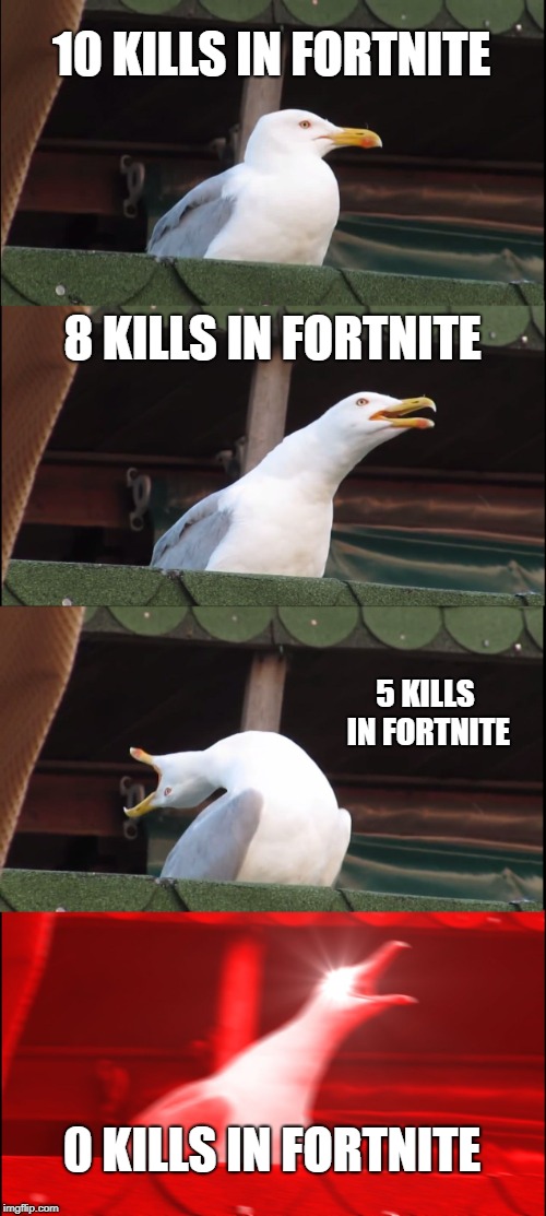 Inhaling Seagull | 10 KILLS IN FORTNITE; 8 KILLS IN FORTNITE; 5 KILLS IN FORTNITE; 0 KILLS IN FORTNITE | image tagged in memes,inhaling seagull | made w/ Imgflip meme maker