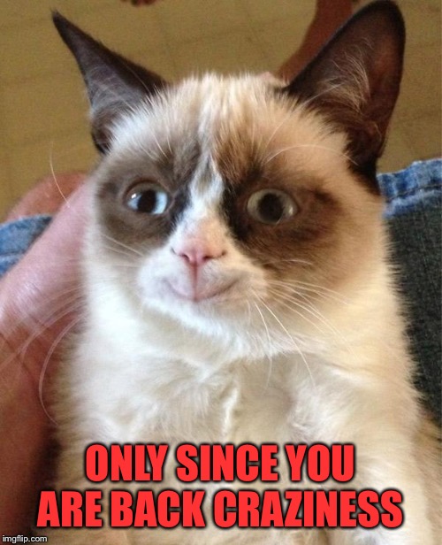 Grumpy Cat Happy Meme | ONLY SINCE YOU ARE BACK CRAZINESS | image tagged in memes,grumpy cat happy,grumpy cat | made w/ Imgflip meme maker