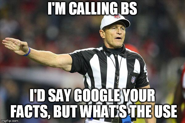 Referee  | I'M CALLING BS; I'D SAY GOOGLE YOUR FACTS, BUT WHAT'S THE USE | image tagged in referee | made w/ Imgflip meme maker