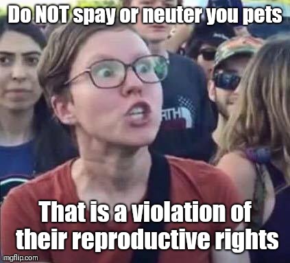 Angry Liberal | Do NOT spay or neuter you pets; That is a violation of their reproductive rights | image tagged in angry liberal | made w/ Imgflip meme maker