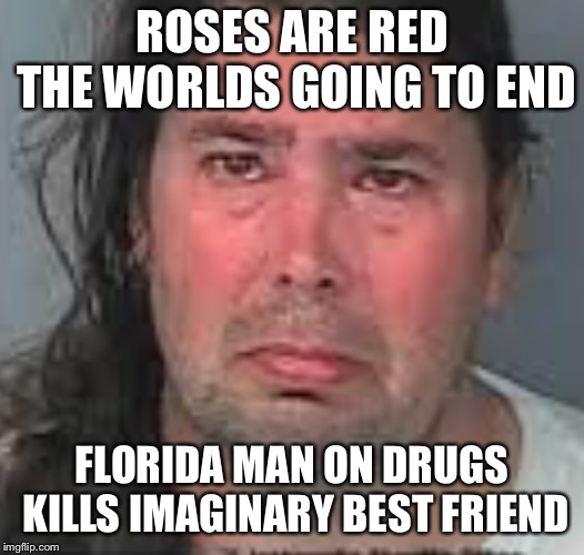 I was bored | ROSES ARE RED THE WORLDS GOING TO END; FLORIDA MAN ON DRUGS KILLS IMAGINARY BEST FRIEND | image tagged in sad but true,philosoraptor,first world problems,that would be great | made w/ Imgflip meme maker