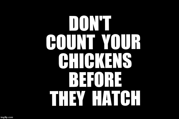 Black blank | DON'T  COUNT  YOUR  CHICKENS  BEFORE  THEY  HATCH | image tagged in patience,impatience | made w/ Imgflip meme maker