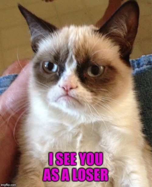 Grumpy Cat Meme | I SEE YOU AS A LOSER | image tagged in memes,grumpy cat | made w/ Imgflip meme maker
