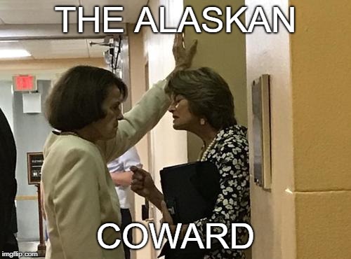 Intimidation | THE ALASKAN; COWARD | image tagged in democrats,democratic party,dianne feinstein,feinstein,funny,political meme | made w/ Imgflip meme maker