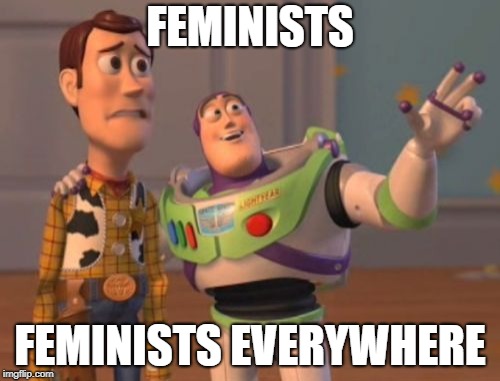 Feminists everywhere | FEMINISTS; FEMINISTS EVERYWHERE | image tagged in x x everywhere | made w/ Imgflip meme maker
