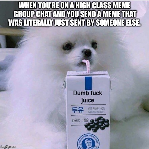 Dumbfuck juice | WHEN YOU’RE ON A HIGH CLASS MEME GROUP CHAT AND YOU SEND A MEME THAT WAS LITERALLY JUST SENT BY SOMEONE ELSE. | image tagged in dumbfuck juice | made w/ Imgflip meme maker