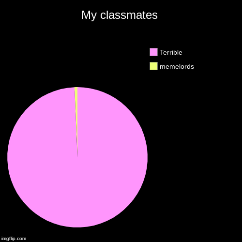 My classmates | memelords, Terrible | image tagged in funny,pie charts | made w/ Imgflip chart maker