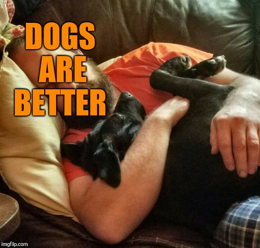 DOGS ARE BETTER | made w/ Imgflip meme maker