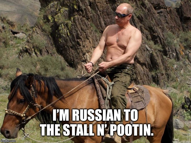 Stall n’ pootin | I’M RUSSIAN TO THE STALL N’ POOTIN. | image tagged in putin horse,memes,vladimir putin,bathroom humor,stall,poop | made w/ Imgflip meme maker