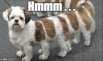 I don't even know where to start... |  Hmmm . . . | image tagged in dogs | made w/ Imgflip meme maker