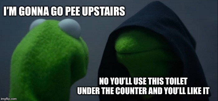 Evil Kermit Meme | I’M GONNA GO PEE UPSTAIRS NO YOU’LL USE THIS TOILET UNDER THE COUNTER AND YOU’LL LIKE IT | image tagged in memes,evil kermit | made w/ Imgflip meme maker