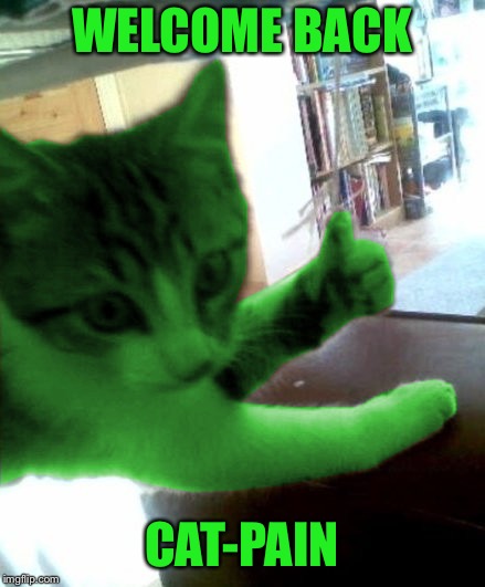 thumbs up RayCat | WELCOME BACK CAT-PAIN | image tagged in thumbs up raycat | made w/ Imgflip meme maker