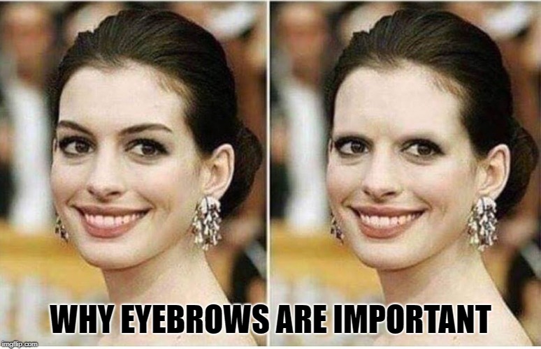 what a difference | WHY EYEBROWS ARE IMPORTANT | image tagged in eyebrows,difference | made w/ Imgflip meme maker