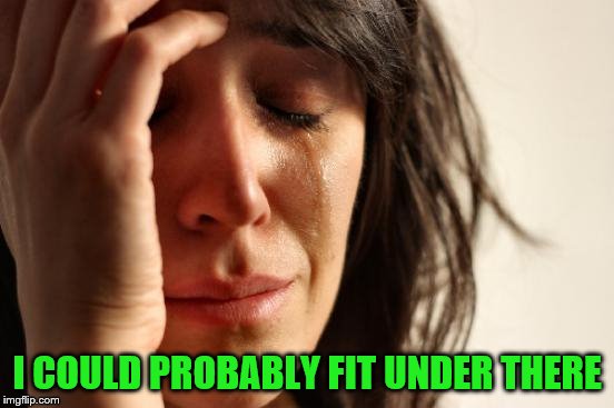 First World Problems Meme | I COULD PROBABLY FIT UNDER THERE | image tagged in memes,first world problems | made w/ Imgflip meme maker
