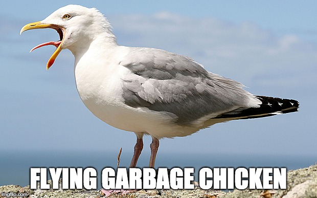 FLYING GARBAGE CHICKEN | image tagged in flying garbage chicken | made w/ Imgflip meme maker
