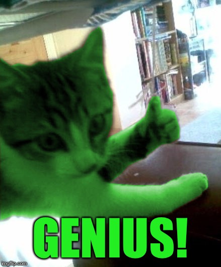 thumbs up RayCat | GENIUS! | image tagged in thumbs up raycat | made w/ Imgflip meme maker