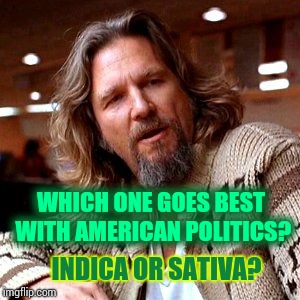 I Have Become Uncomfortably Numb | WHICH ONE GOES BEST WITH AMERICAN POLITICS? INDICA OR SATIVA? | image tagged in memes,confused lebowski,meme,comfort,medical marijuana,well of uncomfortable truths | made w/ Imgflip meme maker