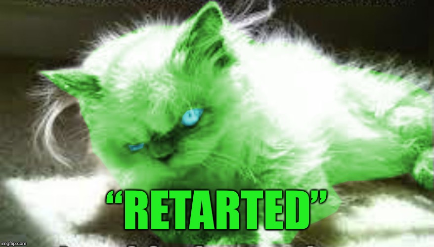 mad raycat | “RETARTED” | image tagged in mad raycat | made w/ Imgflip meme maker