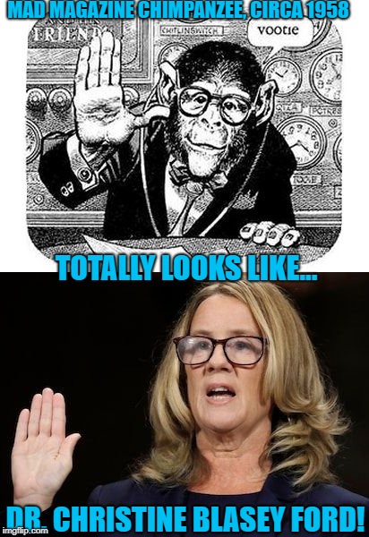 Uncanny! A resemblance that spans 60 years! Check the glasses! | MAD MAGAZINE CHIMPANZEE, CIRCA 1958; TOTALLY LOOKS LIKE... DR. CHRISTINE BLASEY FORD! | image tagged in monkey business,kavanaugh,christine blasey ford | made w/ Imgflip meme maker