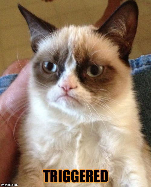 Grumpy Cat | TRIGGERED | image tagged in memes,grumpy cat | made w/ Imgflip meme maker