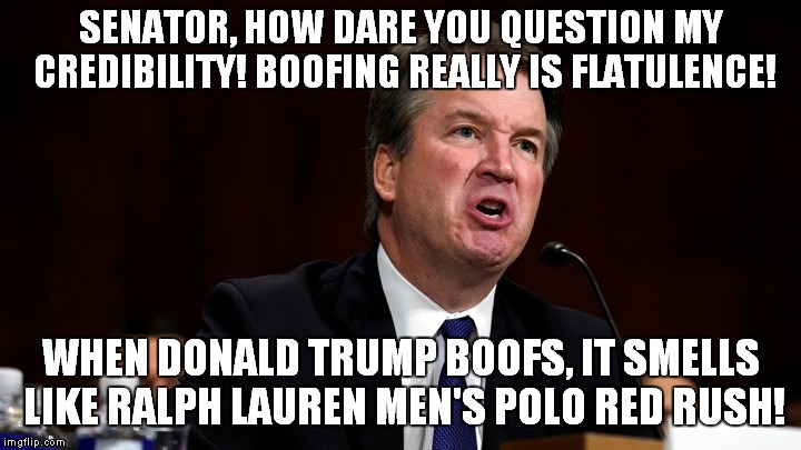 The Devil's Advocate | SENATOR, HOW DARE YOU QUESTION MY CREDIBILITY! BOOFING REALLY IS FLATULENCE! WHEN DONALD TRUMP BOOFS, IT SMELLS LIKE RALPH LAUREN MEN'S POLO RED RUSH! | image tagged in brett kavanaugh is angry,brett kavanaugh,donald trump | made w/ Imgflip meme maker
