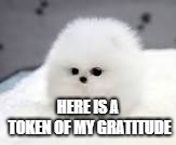 HERE IS A TOKEN OF MY GRATITUDE | made w/ Imgflip meme maker