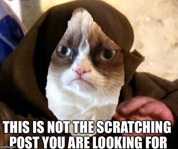THIS IS NOT THE SCRATCHING POST YOU ARE LOOKING FOR | made w/ Imgflip meme maker