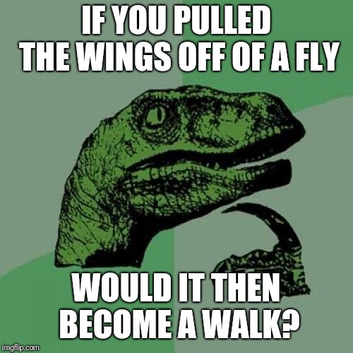 Philosoraptor | IF YOU PULLED THE WINGS OFF OF A FLY; WOULD IT THEN BECOME A WALK? | image tagged in memes,philosoraptor | made w/ Imgflip meme maker