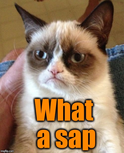Grumpy Cat Meme | What a sap | image tagged in memes,grumpy cat | made w/ Imgflip meme maker